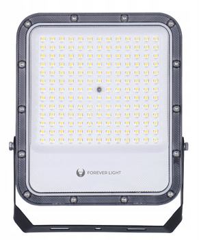 Naświetlacz LED PROXIM+ 100W 6500K 15000lm 230V IP65 Forever Light 150lm/W 5 lat gwarancji
