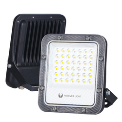 Naświetlacz LED PROXIM+ 30W 6500K 4500lm 230V IP65 Forever Light 150lm/W 5 lat gwarancji