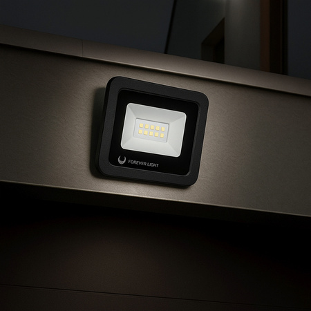 Naświetlacz LED PROXIM II 20W |4500K| IP66 Forever Light