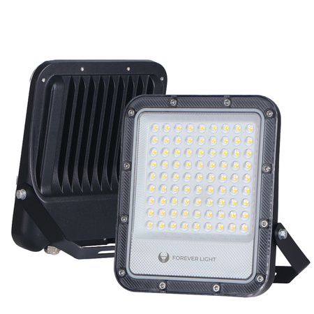 Naświetlacz LED PROXIM+ 50W 4000K 7500lm 230V IP65 Forever Light 150lm/W 5 lat gwarancji