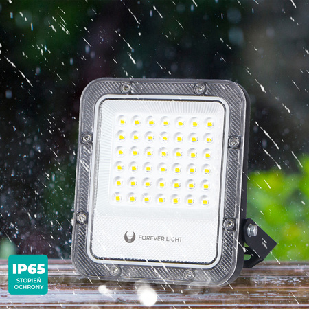 Naświetlacz LED PROXIM+ 30W 6500K 4500lm 230V IP65 Forever Light 150lm/W 5 lat gwarancji