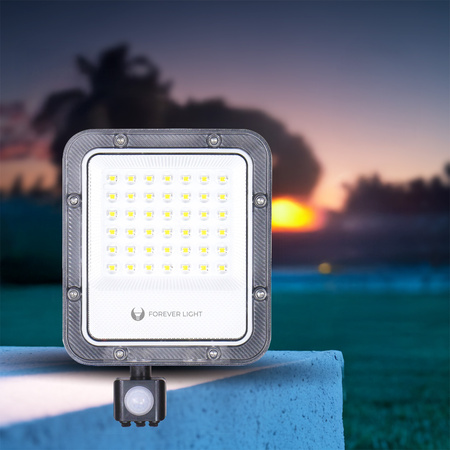 Naświetlacz LED PROXIM+ 30W 6500K 4500lm PIR 230V IP65 Forever Light 150lm/W 5 lat gwarancji