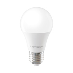 Forever Light Żarówka LED E27 A55 4W 480lm 4000K klasa E