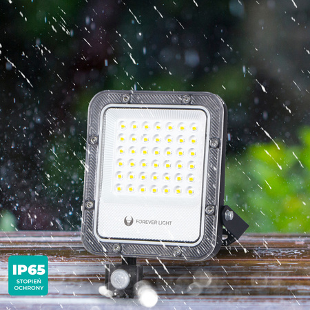 Naświetlacz LED PROXIM+ 30W 6500K 4500lm PIR 230V IP65 Forever Light 150lm/W 5 lat gwarancji