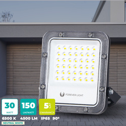 Naświetlacz LED PROXIM+ 30W 6500K 4500lm 230V IP65 Forever Light 150lm/W 5 lat gwarancji