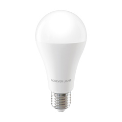 Forever Light Żarówka LED E27 A65 17W 2100lm 4000K klasa E
