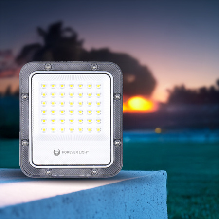 Naświetlacz LED PROXIM+ 30W 6500K 4500lm 230V IP65 Forever Light 150lm/W 5 lat gwarancji