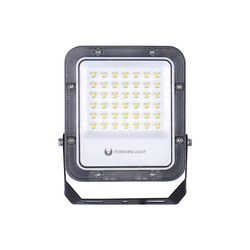 Naświetlacz LED PROXIM+ 30W 4000K 4500lm 230V IP65 Forever Light 150lm/W 5 lat gwarancji