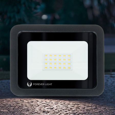 Naświetlacz LED PROXIM II 20W |4500K| IP66 Forever Light