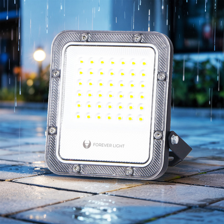 Naświetlacz LED PROXIM+ 30W 6500K 4500lm 230V IP65 Forever Light 150lm/W 5 lat gwarancji