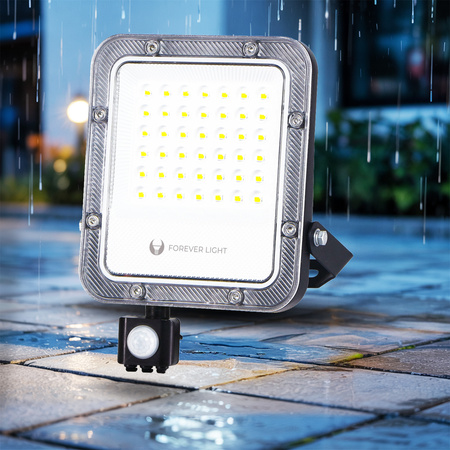 Naświetlacz LED PROXIM+ 30W 6500K 4500lm PIR 230V IP65 Forever Light 150lm/W 5 lat gwarancji