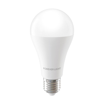 Forever Light Żarówka LED E27 A65 17W 2100lm 6000K klasa E